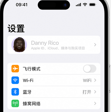 石碣镇appleID维修服务iPhone设置中Apple ID显示为灰色无法使用