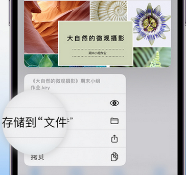 石碣镇apple维修中心分享iPhone文件应用中存储和找到下载文件