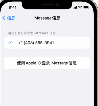 石碣镇apple维修iPhone上无法正常发送iMessage信息 