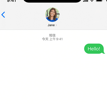 石碣镇apple维修iPhone上无法正常发送iMessage信息