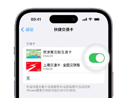 石碣镇apple维修点分享iPhone上更换Apple Pay快捷交通卡手绘卡面 