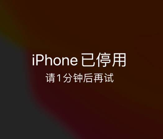 石碣镇苹果手机维修分享:iPhone 显示“不可用”或“已停用”怎么办？还能保留数据吗？ 