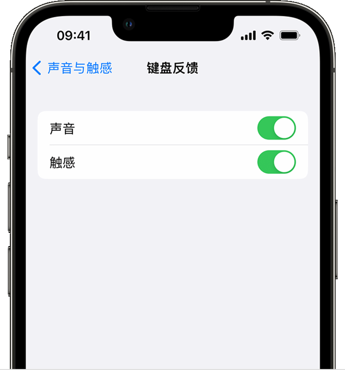 石碣镇苹果14维修店分享如何在 iPhone 14 机型中使用触感键盘 