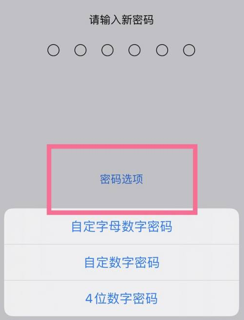 石碣镇苹果14维修分享iPhone 14plus设置密码的方法 