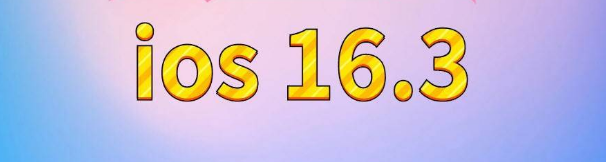 石碣镇苹果服务网点分享苹果iOS16.3升级反馈汇总 