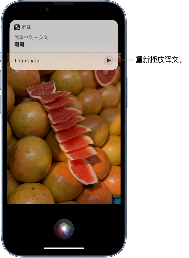 石碣镇苹果14维修分享 iPhone 14 机型中使用 Siri：了解 Siri 能帮你做什么 