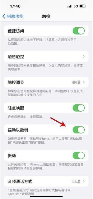 石碣镇苹果手机维修分享iPhone手机如何设置摇一摇删除文字 